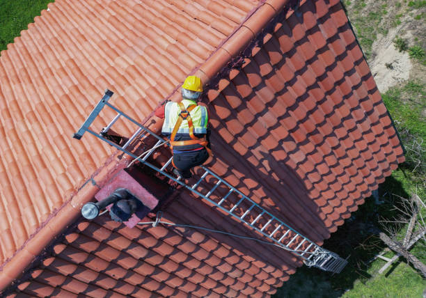 Best Roof Moss and Algae Removal  in Burlington, OH